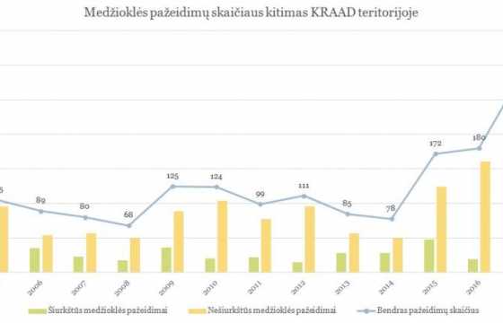 Smulkus pazeidimai statistika