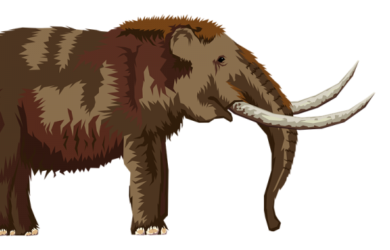 mamutas ir medziotojas
